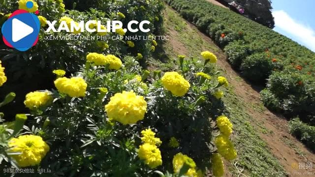 FC2PPV4322749 Nữ sinh viên đại học G-cup tự nhiên với khuôn mặt trong sáng và dáng người bụ bẫm, đánh nhau hoang dã ngoài trời, xuất tinh mất kiểm soát, phơi bày ngoài tự nhiên