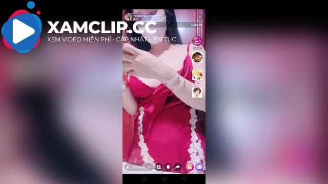 Meo Múp Livestream 12/11/2023