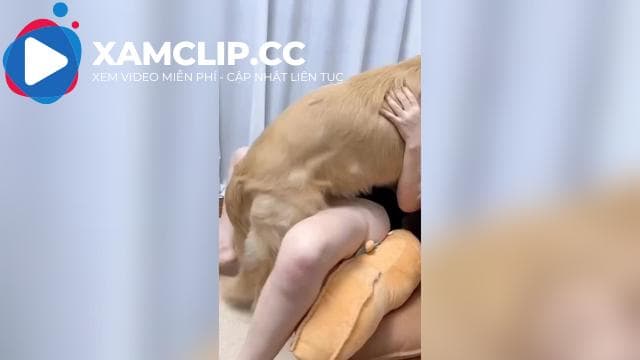 Chịch nhau với chó béc dê tìm cảm giác mới lạ