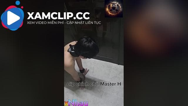 1 bé cún cực kỳ kute trói ở cửa cho canh nhà và vẫy đuôi khi ba gọi