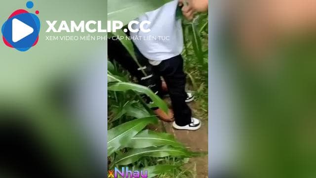 Biến thái Hiếp Dâm Em học Sinh love8 trong ruộng ngô