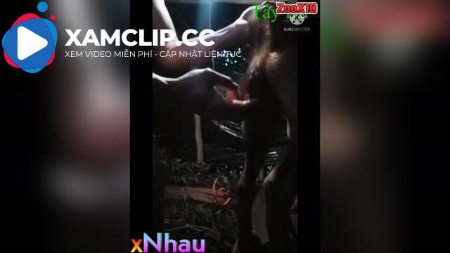 Dấu hiệu chó chịu đụ