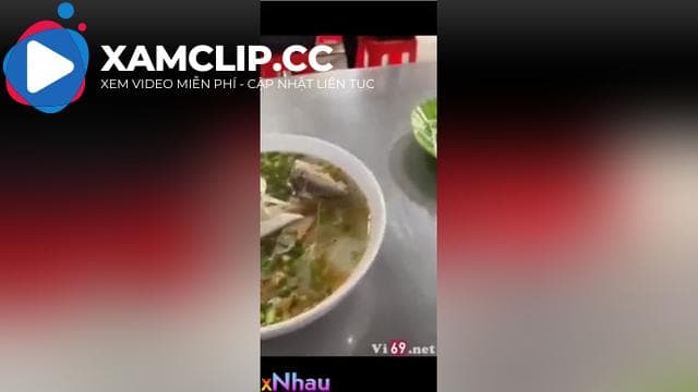 Hành trình vượt 100km để được chs trần r học sinh trong rừng siêu hay