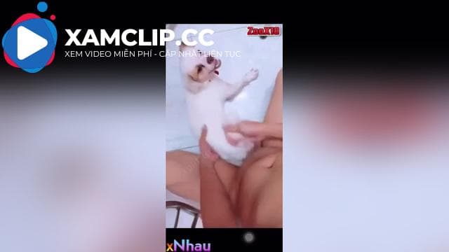 Chơi em phóc