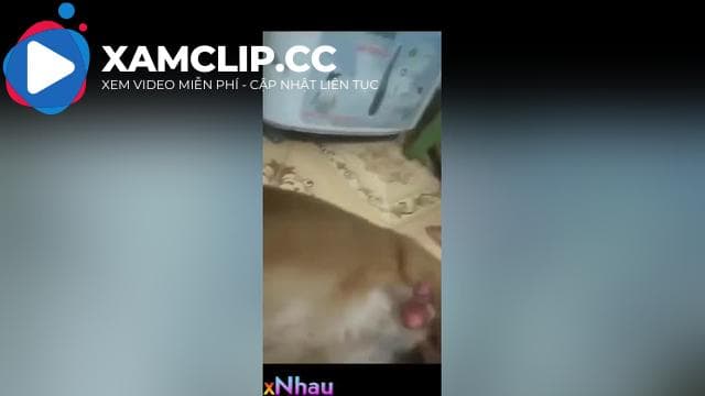 Thg chồng Bắt vợ địt chó 3 lần tuân vì yếu sinh để vợ ko ngoại tình