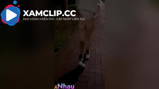 Dắt em gái ra đường phô dâm cho trai lạ nứng cặc 2