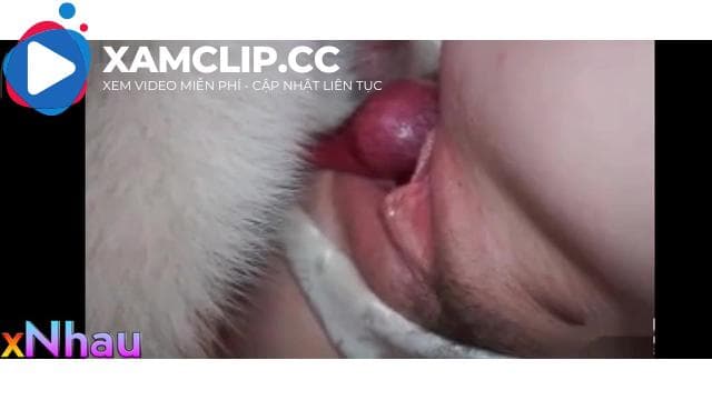 Cận cảnh quá trinh chó xuất tinh vào lồn e học sinh 08 ở Hà Nam